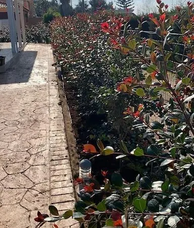 Casa Mia Matino