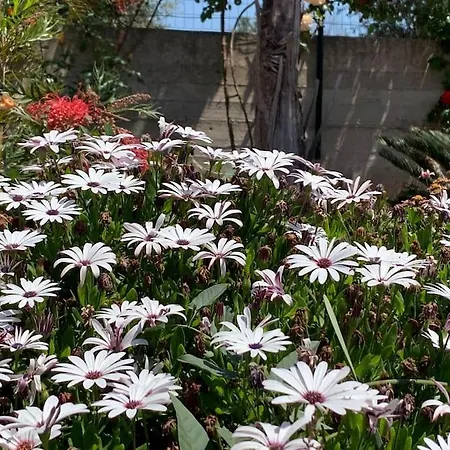 Casa Mia Dom wakacyjny